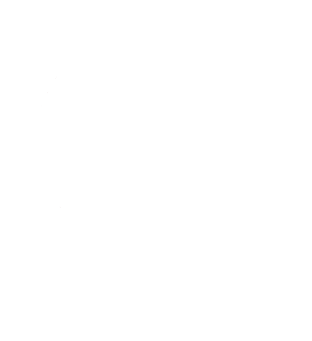 Logo Lerin Funéraire